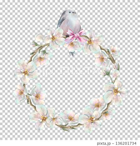 A wreath of apple blossom branches with white flowers, a titmouse, and a pink bow. Hand-drawn watercolor illustration. A round frame with text template is a design for spring holidays and weddings. 136201734