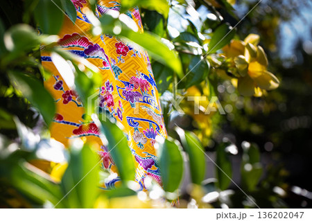 紅型イメージ 136202047