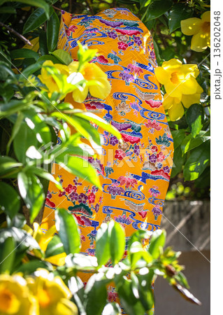 紅型イメージ 136202048