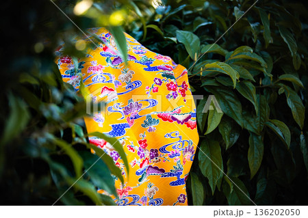 紅型イメージ 136202050