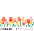 チューリップのフレーム　カラフルな春の花の背景（ミックスカラー） 136202082