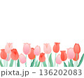 チューリップのフレーム　華やかな春の背景素材（ピンク・レッド） 136202083