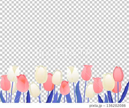 チューリップのフレーム　柔らかな春の背景（ニュアンスピンク） 136202086