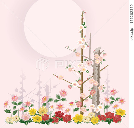 Beautiful Korean Wildflowers Blooming under the Moonlight in February Beautiful Korean Wildflowers Blooming under the Moonlight in February 136202359