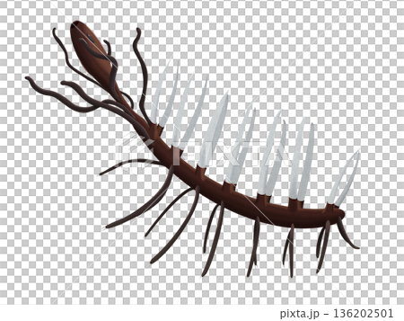 リアルなハルキゲニアのイラスト　カンブリア紀 136202501