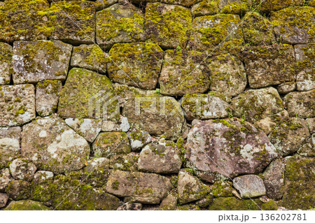 鶴ヶ城の石垣（福島県会津若松市） 136202781