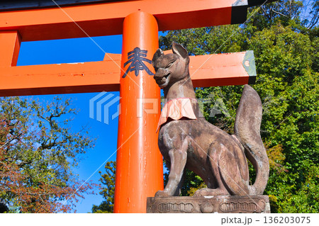京都 伏見稲荷大社 狛狐(京都府京都市伏見区) 京都 伏見稲荷大社 狛狐(京都府京都市伏見区) 136203075