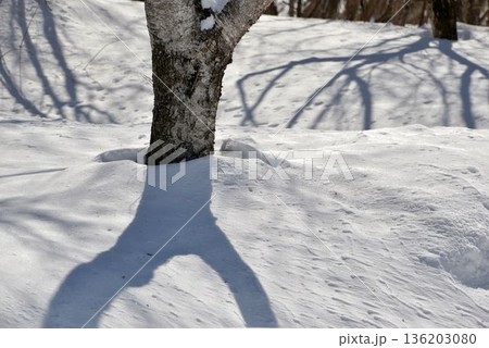 【群馬】榛名の雪景色 【群馬】榛名の雪景色 136203080