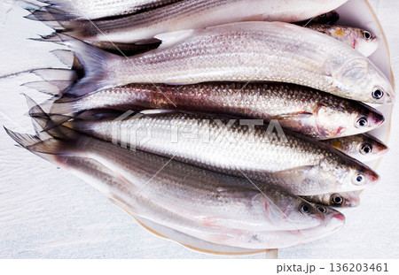 raw fish with spice on plate and on light table raw fish with spice on plate and on light table 136203461