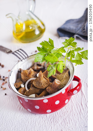 Salted mushrooms, autumn harvest. Homemade pickled mushrooms, marinated red mushrooms with spice and salt Salted mushrooms, autumn harvest. Homemade pickled mushrooms, marinated red mushrooms with spice and salt 136203490