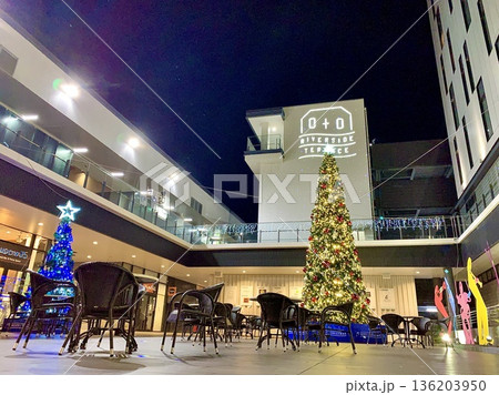 クリスマスツリーに彩られたオトリバーサイドテラスの夜景〈乙川河川緑地/愛知県岡崎市〉 クリスマスツリーに彩られたオトリバーサイドテラスの夜景〈乙川河川緑地/愛知県岡崎市〉 136203950