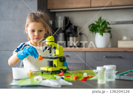 Young girl holding grown crystal and preparing it for detailed examination under microscope during home science experiment. STEM education and practical learning through crystal growing activity 136204126