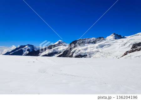 View of the Jungfraujoch, Top of Europe, Bernese Oberland, Switzerland 136204196