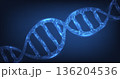 Modern genetics background. 136204536