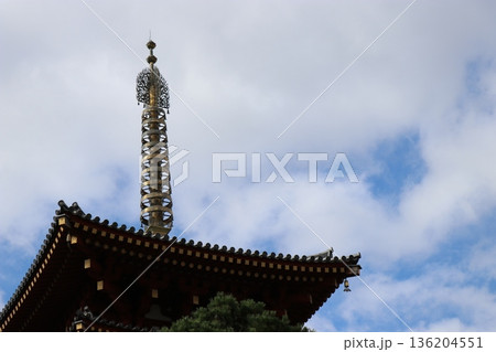 世界遺産　薬師寺　奈良県 136204551