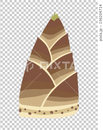和食に使われるたけのこのシンプルイラスト 和食に使われるたけのこのシンプルイラスト 136204714