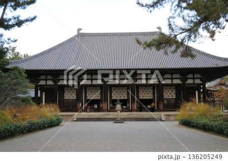 唐招提寺　金堂 136205249