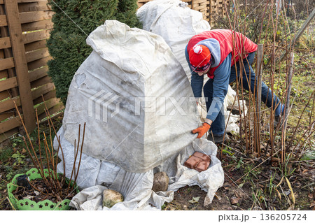 Winter Protection for Garden, winter shelter for garden plants, shelter rhododendrons 136205724