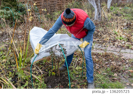 Winter Protection for garden, winter shelter for garden plants, shelter rhododendrons 136205725