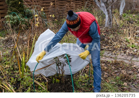 Winter Protection for garden, winter shelter for garden plants, shelter rhododendrons 136205735