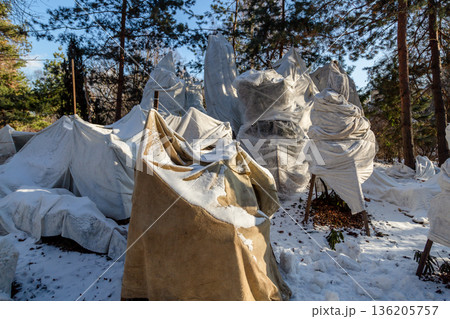 Winter Protection for Garden, winter shelter for garden plants, shelter rhododendrons Winter Protection for Garden, winter shelter for garden plants, shelter rhododendrons 136205757