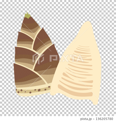 Food illustration of bamboo shoots with and without skin, sliced lengthwise Food illustration of bamboo shoots with and without skin, sliced lengthwise 136205780