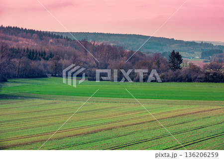 Rural landscape in spring. Cultivated fields against the backdrop of mountains during sunset. Countryside in the evening 136206259