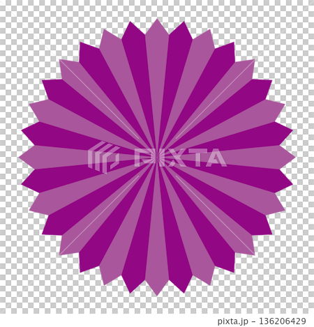 放射状の濃淡がある紫色のバクダン 136206429
