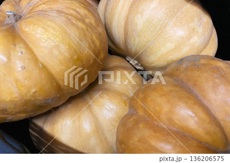 Harvested Light Orange Pumpkins Close-up Harvested Light Orange Pumpkins Close-up 136206575