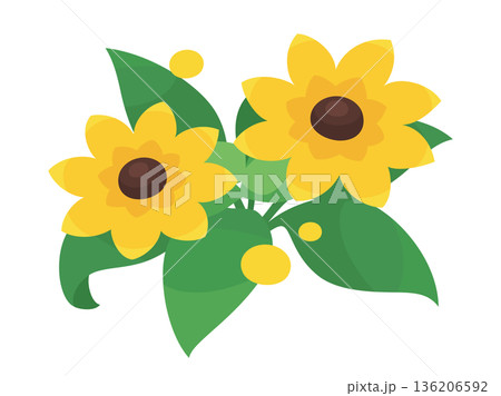 かわいいルドベキアのイラスト素材 136206592