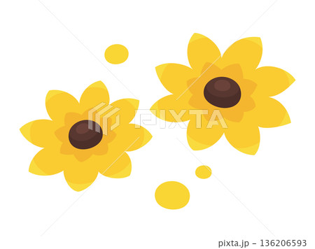 かわいいルドベキアの花のイラスト素材 かわいいルドベキアの花のイラスト素材 136206593