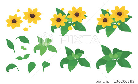 かわいいルドベキアのイラスト素材セット 136206595