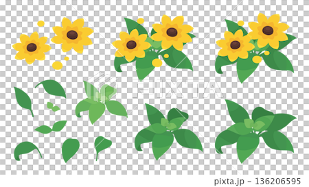 かわいいルドベキアのイラスト素材セット 136206595