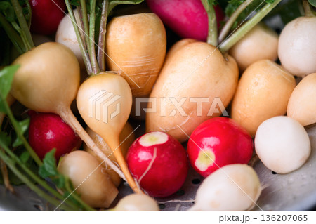 Close up of colorful radishes with leafy tops in metal strainer 136207065