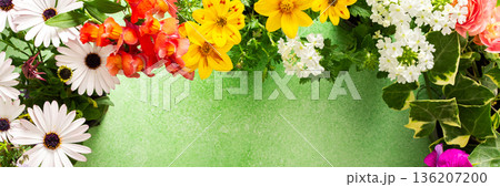 A beautiful collection of spring flowers decorates a balcony or terrace, creating a lively and cheerful atmosphere. Various colors and types of flowers bring joy to the space., banner A beautiful collection of spring flowers decorates a balcony or terrace, creating a lively and cheerful atmosphere. Various colors and types of flowers bring joy to the space., banner 136207200