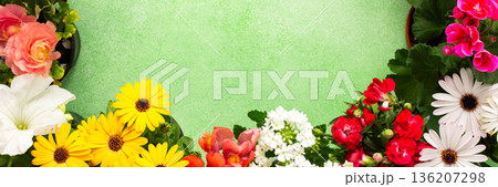 Bright flowers adorn a balcony or terrace, bringing vibrant colors to the space. This spring decoration highlights the joy of nature, inviting warmth and cheer into the environment, banner 136207298