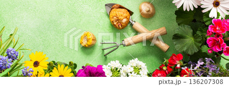 A vibrant balcony is decorated with various spring flowers in full bloom. Gardening tools are placed among the flowers, highlighting a fresh and lively spring ambiance, banner 136207308