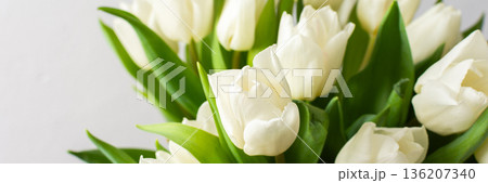 A vibrant spring bouquet of white tulips in close-up, capturing the fresh and delicate petals, bringing natural beauty to any spring-inspired design, banner 136207340