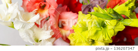 A group of mixed gladiolus flowers in shades of red, white, yellow, and purple stands in a vase. The flowers are fresh and arranged closely, creating a colorful bouquet, banner 136207347