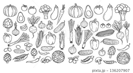 Sketch collection of different vegetables in cartoon style, healthy food monochrome illustration Sketch collection of different vegetables in cartoon style, healthy food monochrome illustration 136207907