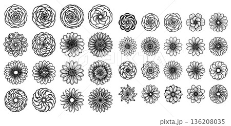 Line art flower collection with floral designs, rose blossoms and daisy, botanical illustration Line art flower collection with floral designs, rose blossoms and daisy, botanical illustration 136208035