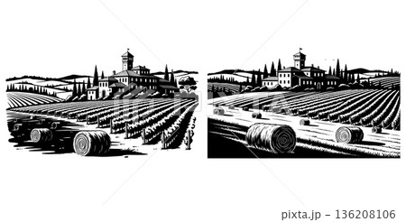 Monochrome vineyard landscape with haystack rolls and Tuscan villa, agricultural illustrations 136208106
