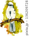 Watercolor sketch of a bird isolated on transparent background 136209728