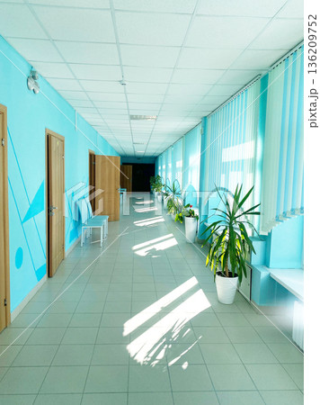 Bright corridor interior in educational institution featuring blue walls, natural light streaming through windows, and decorative plants creating a welcoming atmosphere for students and staff 136209752