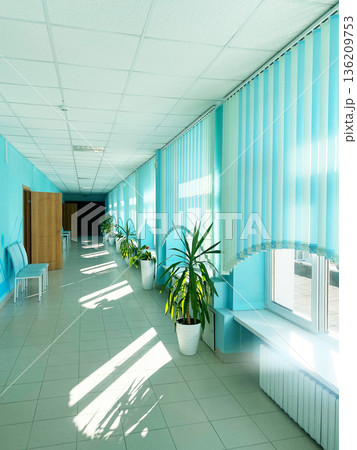 Bright corridor with turquoise walls and large windows, featuring potted plants along the sides, creating a serene and inviting atmosphere in a modern interior space 136209753