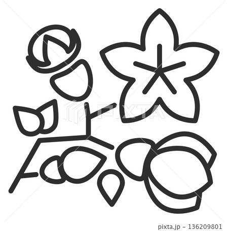 Spring flower line icon. Nature blossom symbol 136209801