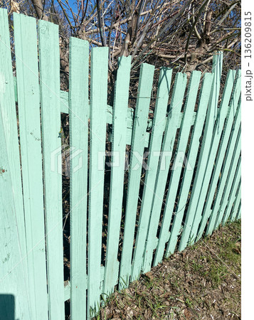 Weathered mint green wooden fence with vertical slats, surrounded by overgrown vegetation, creating a rustic outdoor atmosphere and natural privacy barrier Weathered mint green wooden fence with vertical slats, surrounded by overgrown vegetation, creating a rustic outdoor atmosphere and natural privacy barrier 136209815