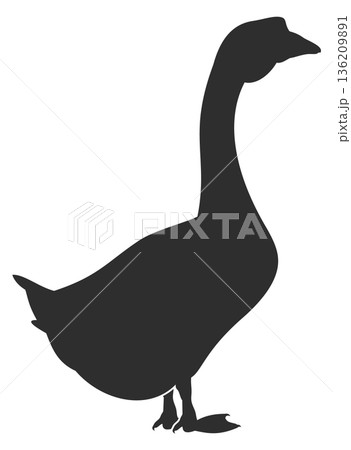 Goose black silhouette. Poultry symbol. Farm bird Goose black silhouette. Poultry symbol. Farm bird 136209891