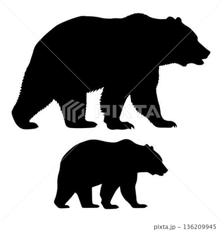 Bear silhouettes representing family parent child and wildlife concept art 136209945