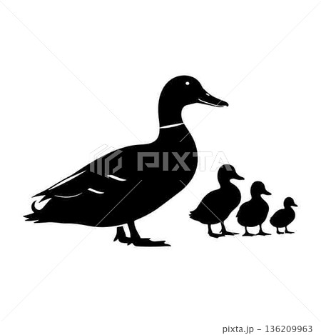 Black Silhouette of a Duck with Ducklings on White Background 136209963